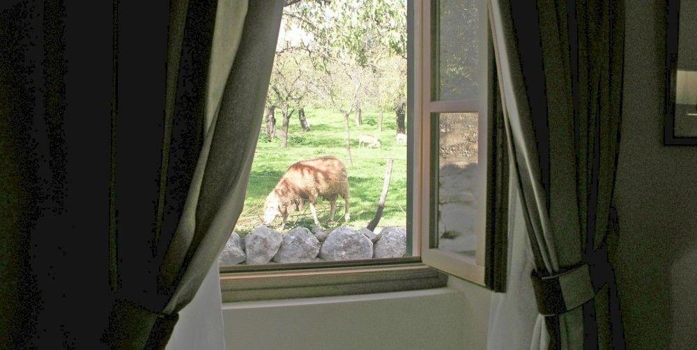 S'Hort De Cas Misser Boutique Hotel (Adults Only) Selva  Buitenkant foto